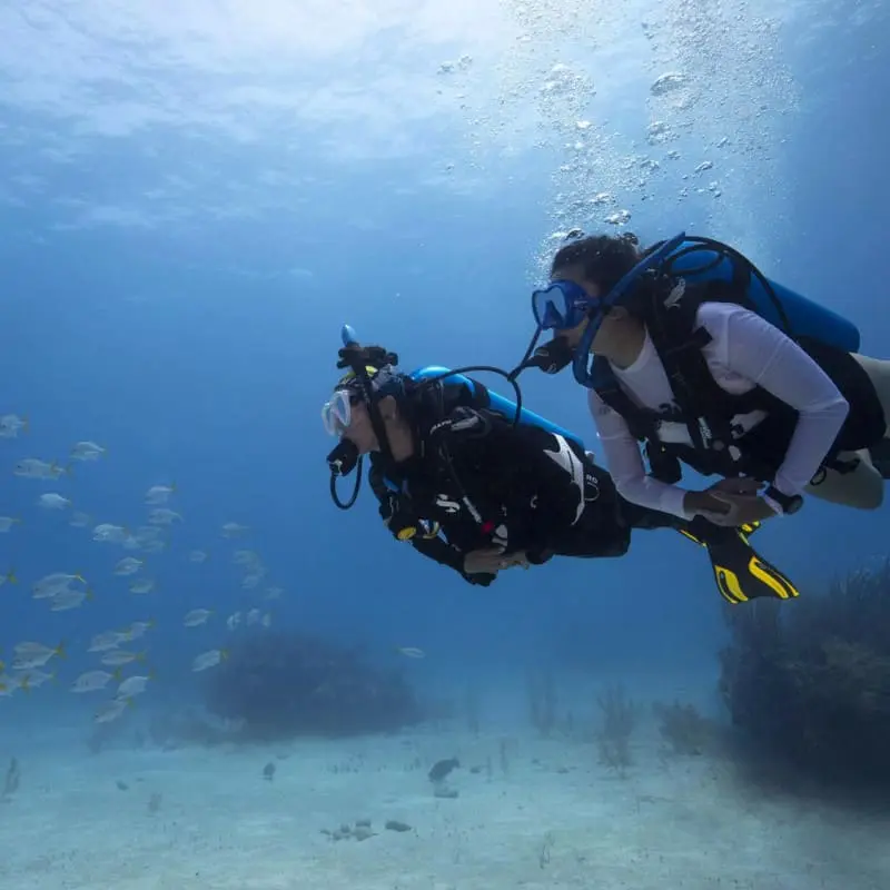 Cipreia Dive Club - 3