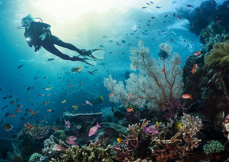 Cipreia Dive Club - 6